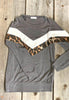 HAPTICS PLUS Fall Assortment